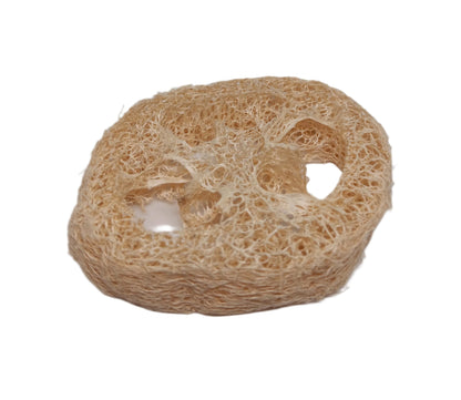 Natural Loofah Slices