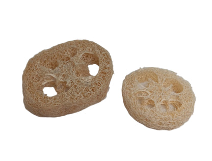 Natural Loofah Slices